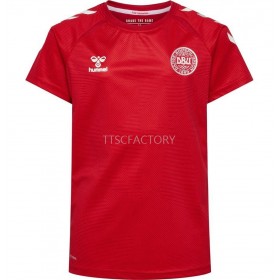 Tenue Danemark Euro Féminine Domicile 2022 Maillot de Foot